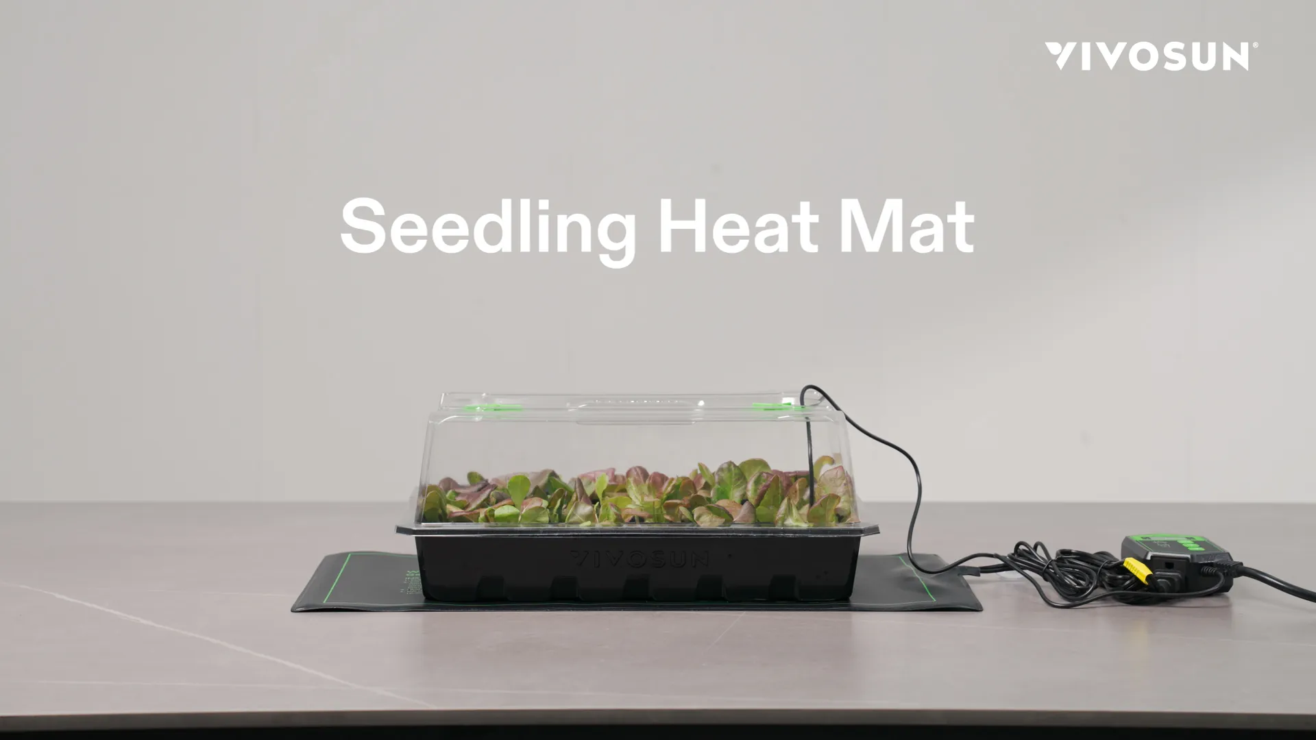 VIVOSUN 48 x 20.75 Seedling Heat Mat Review image 8