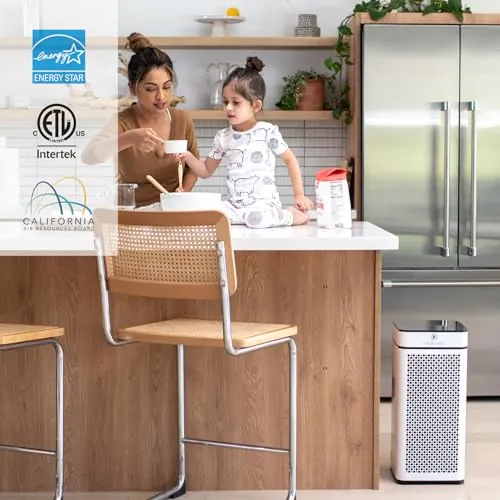 Medify MA-40 Air Purifier Review: Large Room HEPA Use image 5