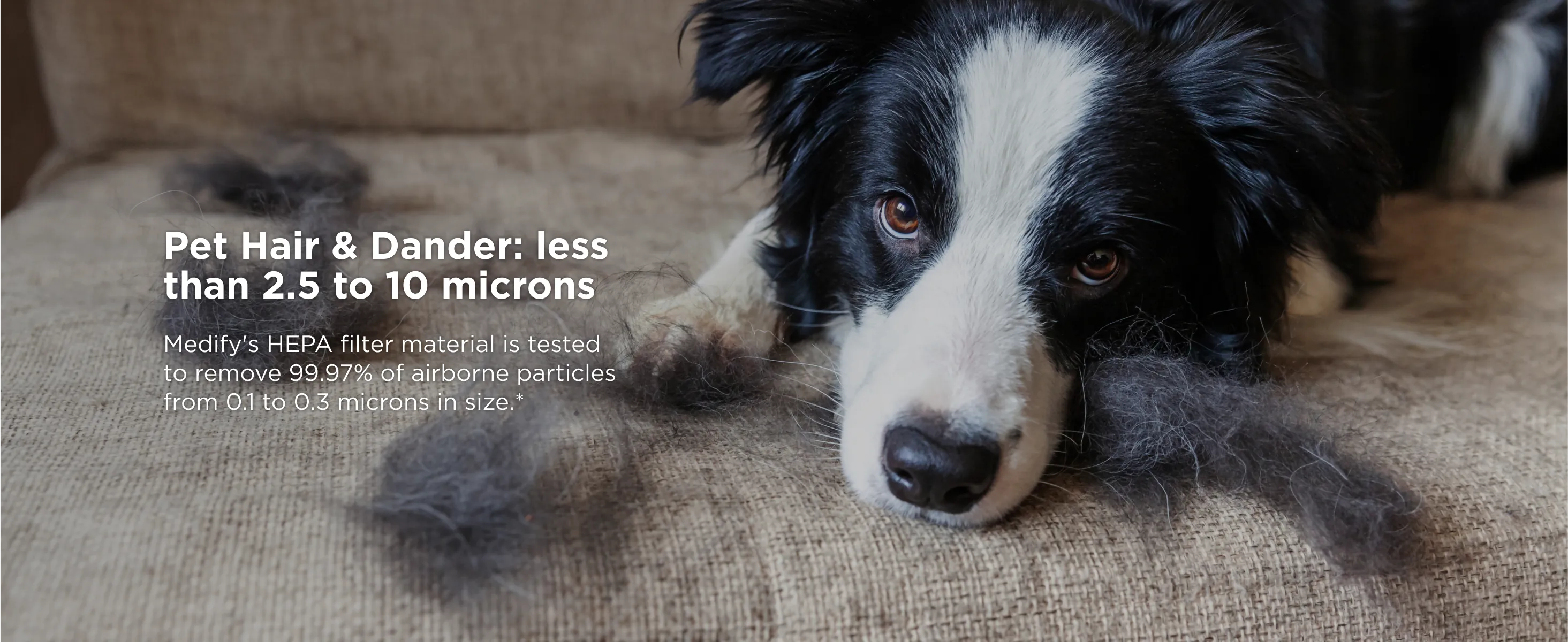 Medify MA-50 Air Purifier Review: Coverage, Noise, Value image 9
