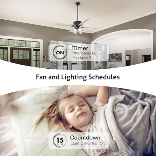 TREATLIFE DS03 Smart Ceiling Fan Switch Review image 5