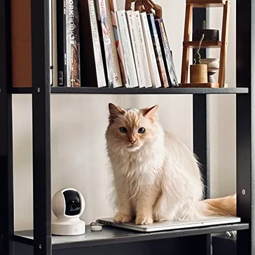 Kasa EC70 Review: Indoor Pan/Tilt Security Camera image 6