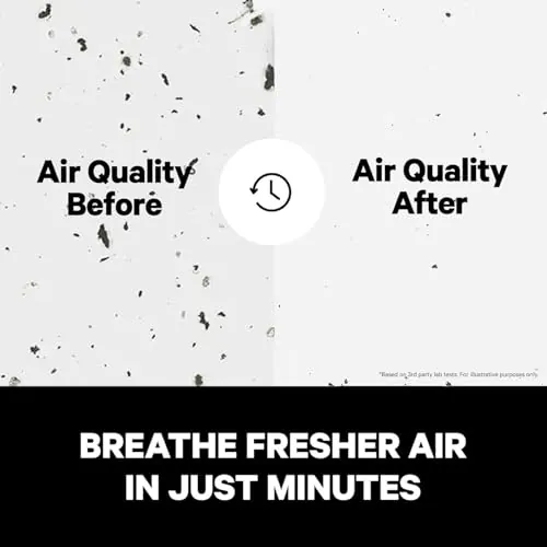 PuroAir 240 Air Purifier Review: Large Room HEPA Use image 3