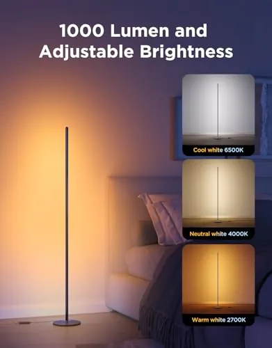 Govee RGBIC Floor Lamp Basic Review image 4