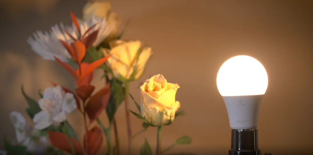 Sengled Alexa Light Bulb Review: Setup, Brightness & Value image 8