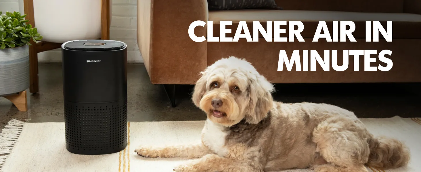 PuroAir 240 Air Purifier Review: Large Room HEPA Use image 9