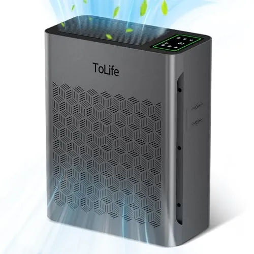 ToLife TZ-K2 Air Purifier Review: Features and Value