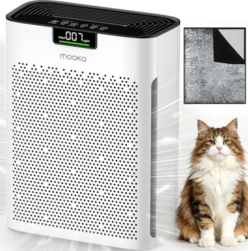MOOKA KJ190 Air Purifier Review: Features and Value
