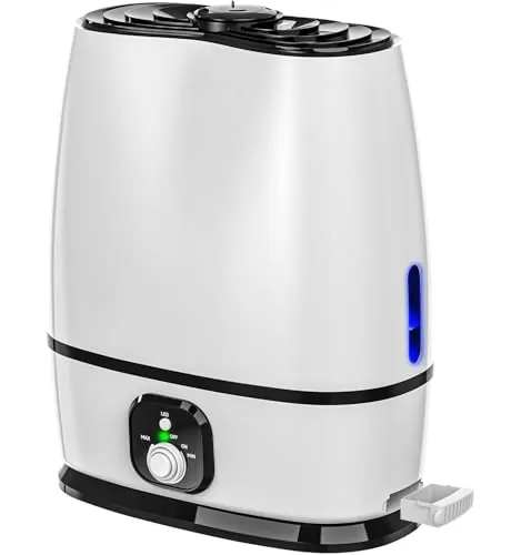 Everlasting Comfort 6L Humidifier Review image 2