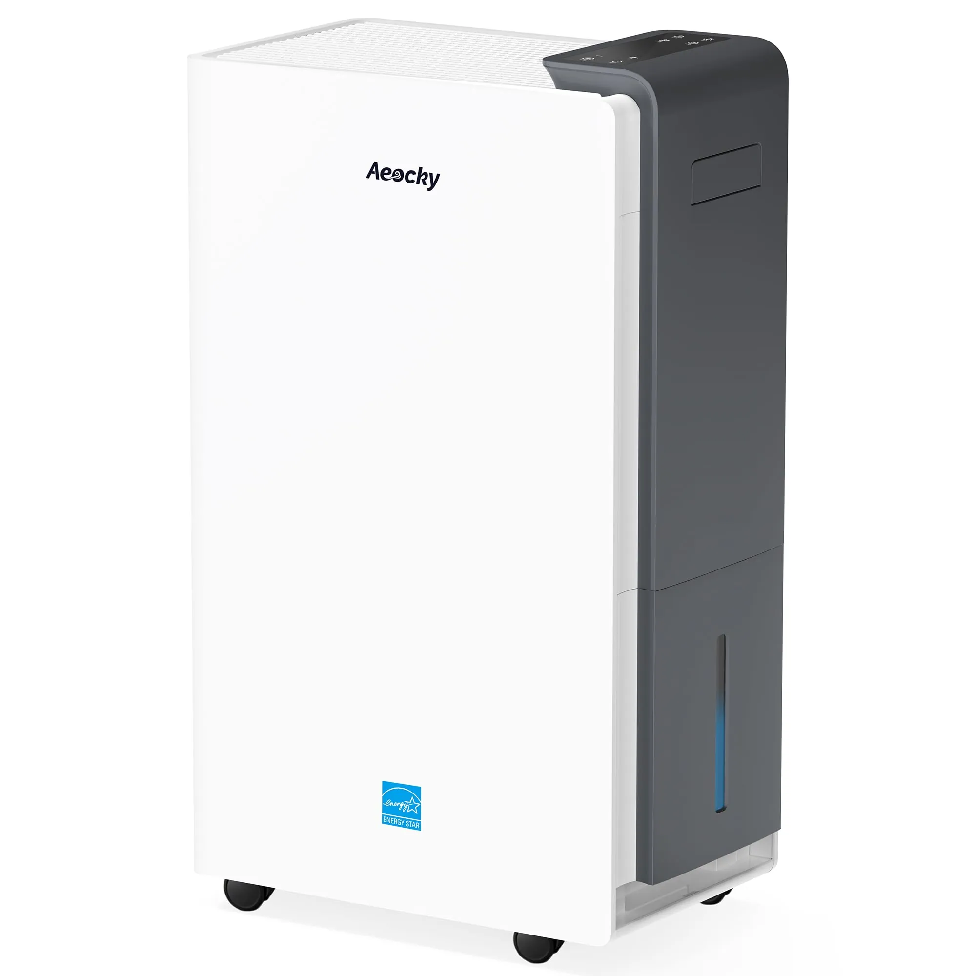 AEOCKY RHEA-002 Dehumidifier Review